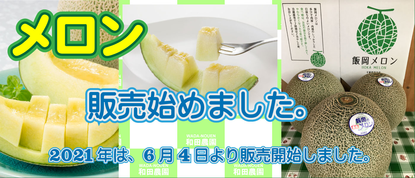 2021年飯岡メロン販売開始しました。