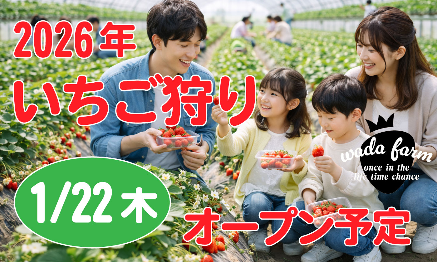 2026年いちご狩りオープン予定