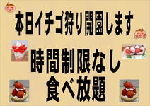 9-s-1.jpg